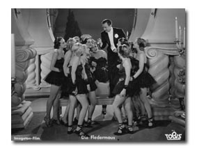 Fledermaus